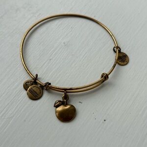 Alex and Ani Apple bracelet